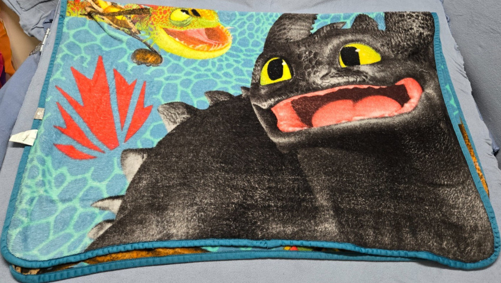 How To Train Your Dragon Throw Blanket from Original Release 2010