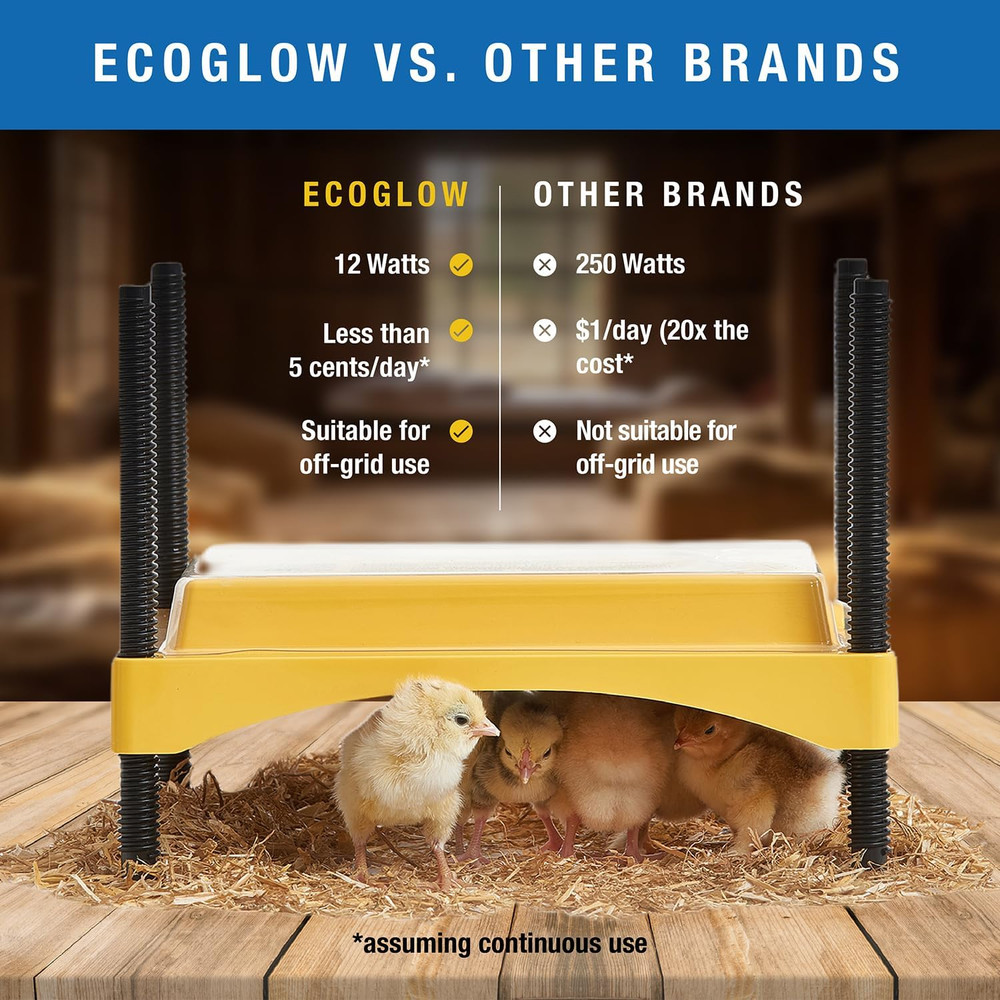 Ecoglow Safety 600 Chick or Duckling Brooder, Adjustable Height & Angle Brooder