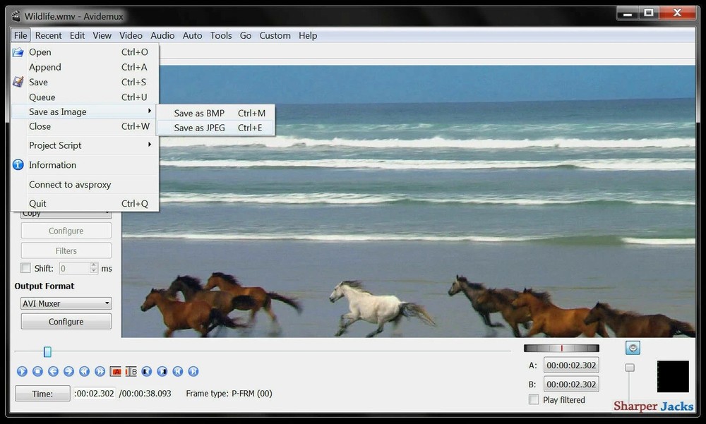Avidemux Video / Audio Editor & Publishing Studio 2026 for Windows & Mac OS