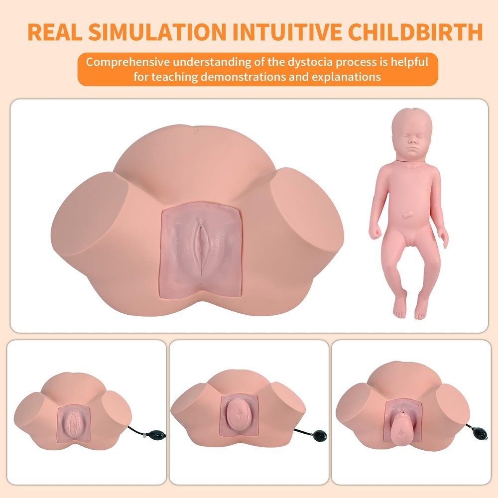 Birth Midwifery Training Model Simulator, Life Size Childbirth Demonstration ...