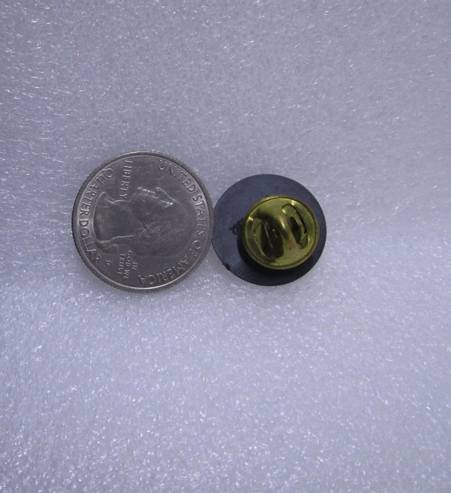 State Legislator Political Plastic Pin