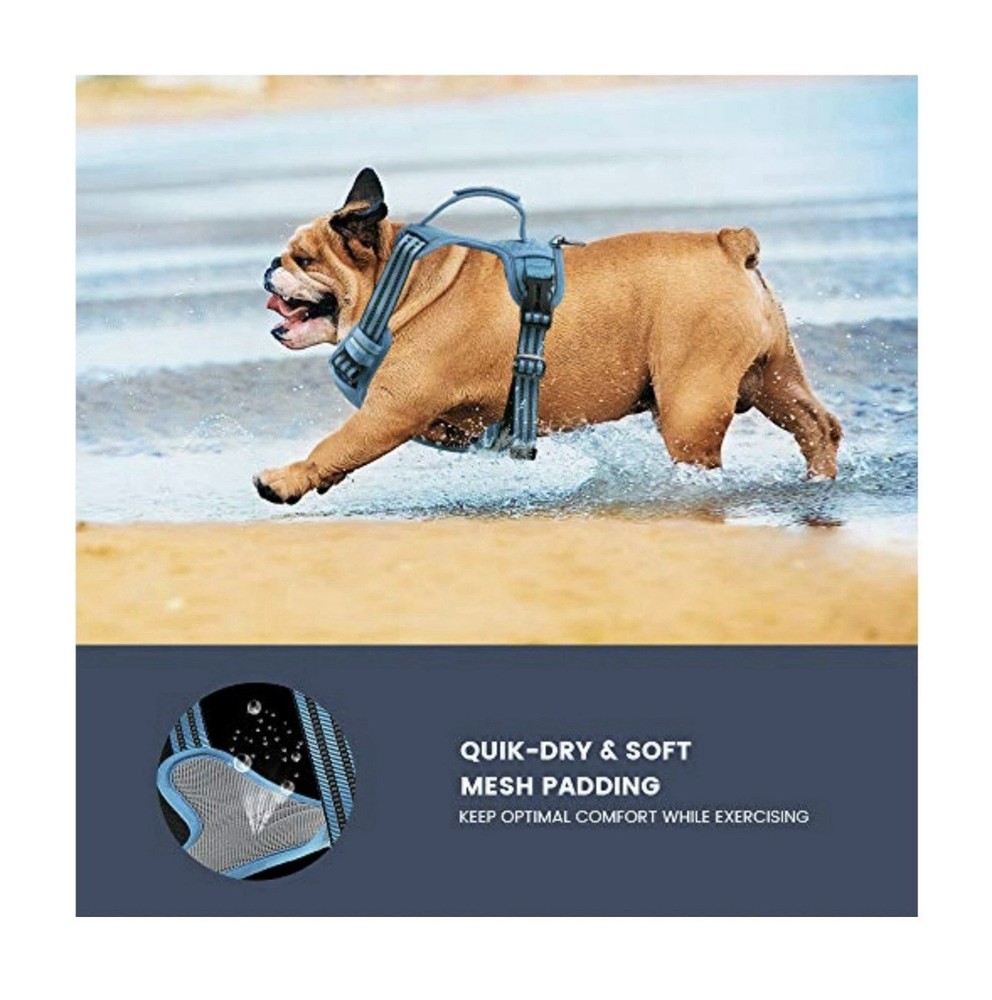 Pawtrender No Pull Dog Harness (Blue) ( Medium)