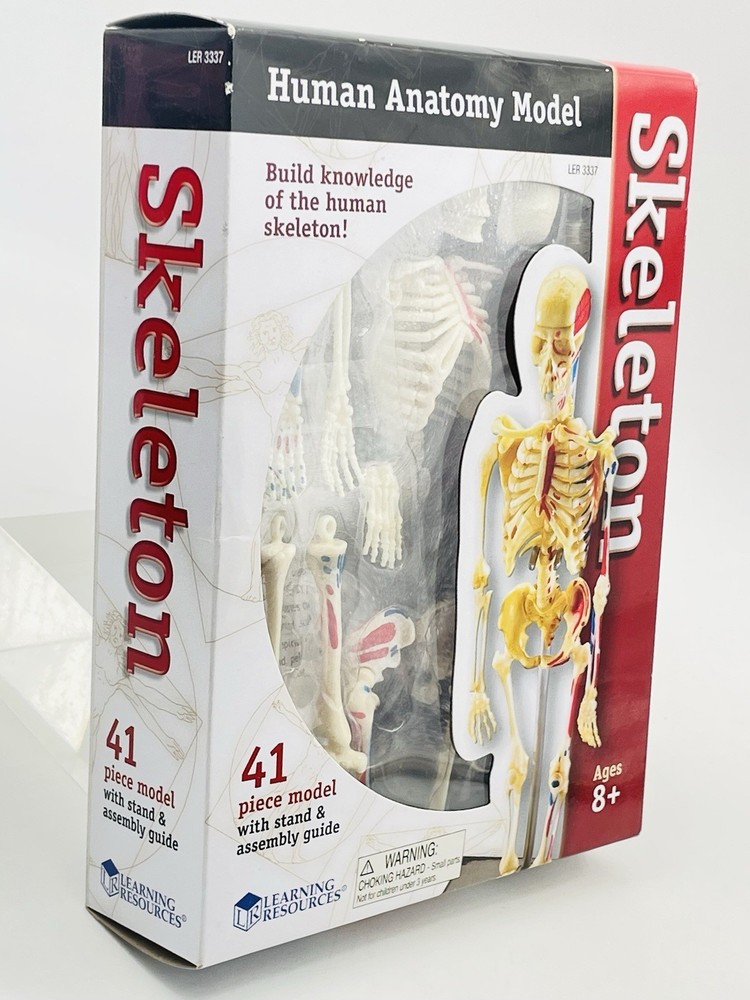 Learning Resources STEM Human Anatomy Skeleton 9.2" Tall Realistic Model ~ 41 Pc