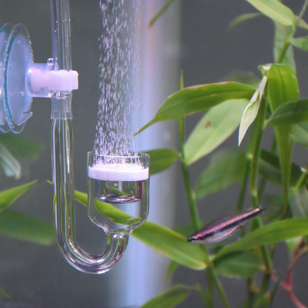 CO2 Diffuser, Carbon Dioxide Glass Reactor Diffuser Set, Set