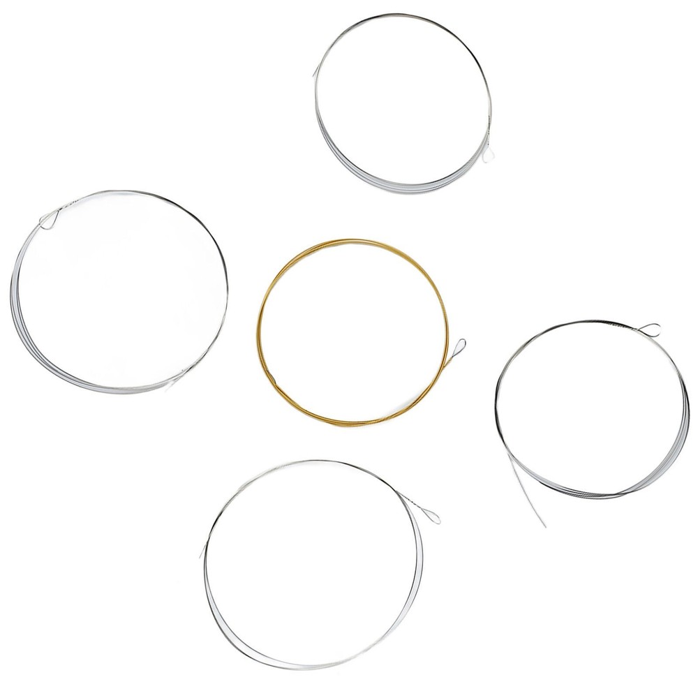 5 String Banjo String Stainless Steel Full Resonance Thick High Notes Strings