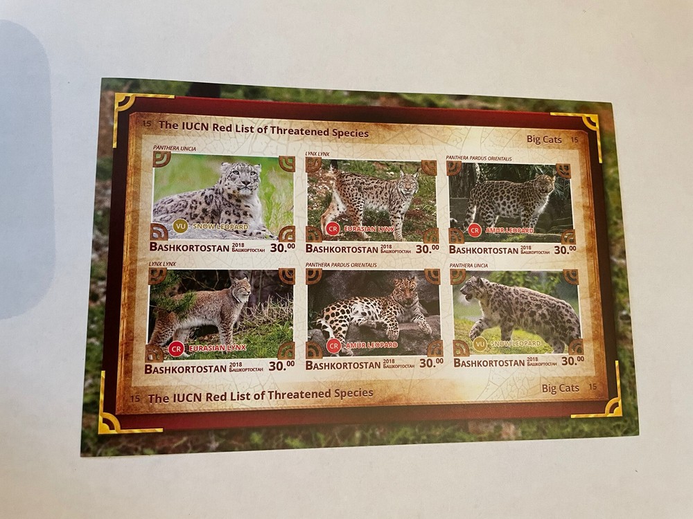 Wild Cat stamps 6 imperf.
