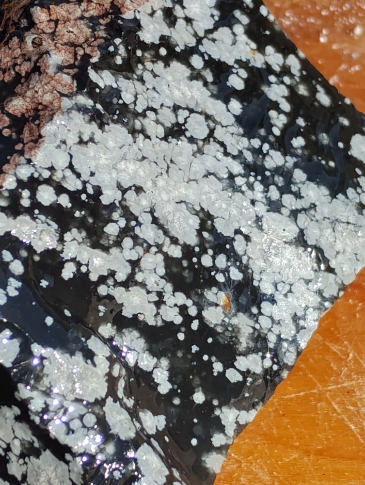Snowflake Obsidian Rough Specimen