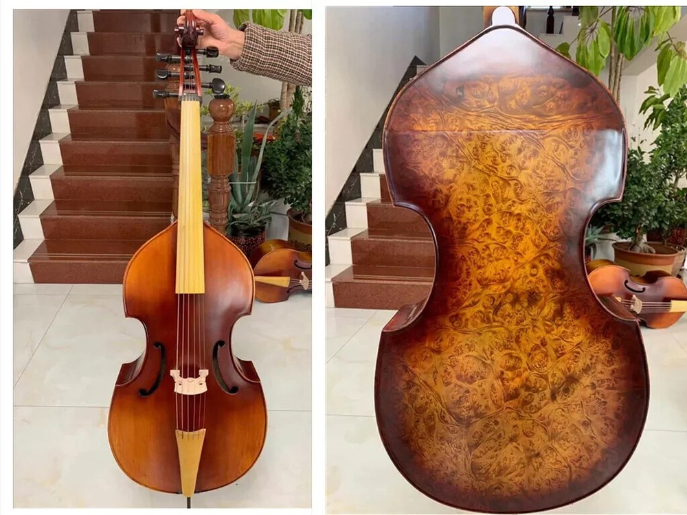 profession SONG maestro 6 string 27" viola da gamba,Bird's eye maple back