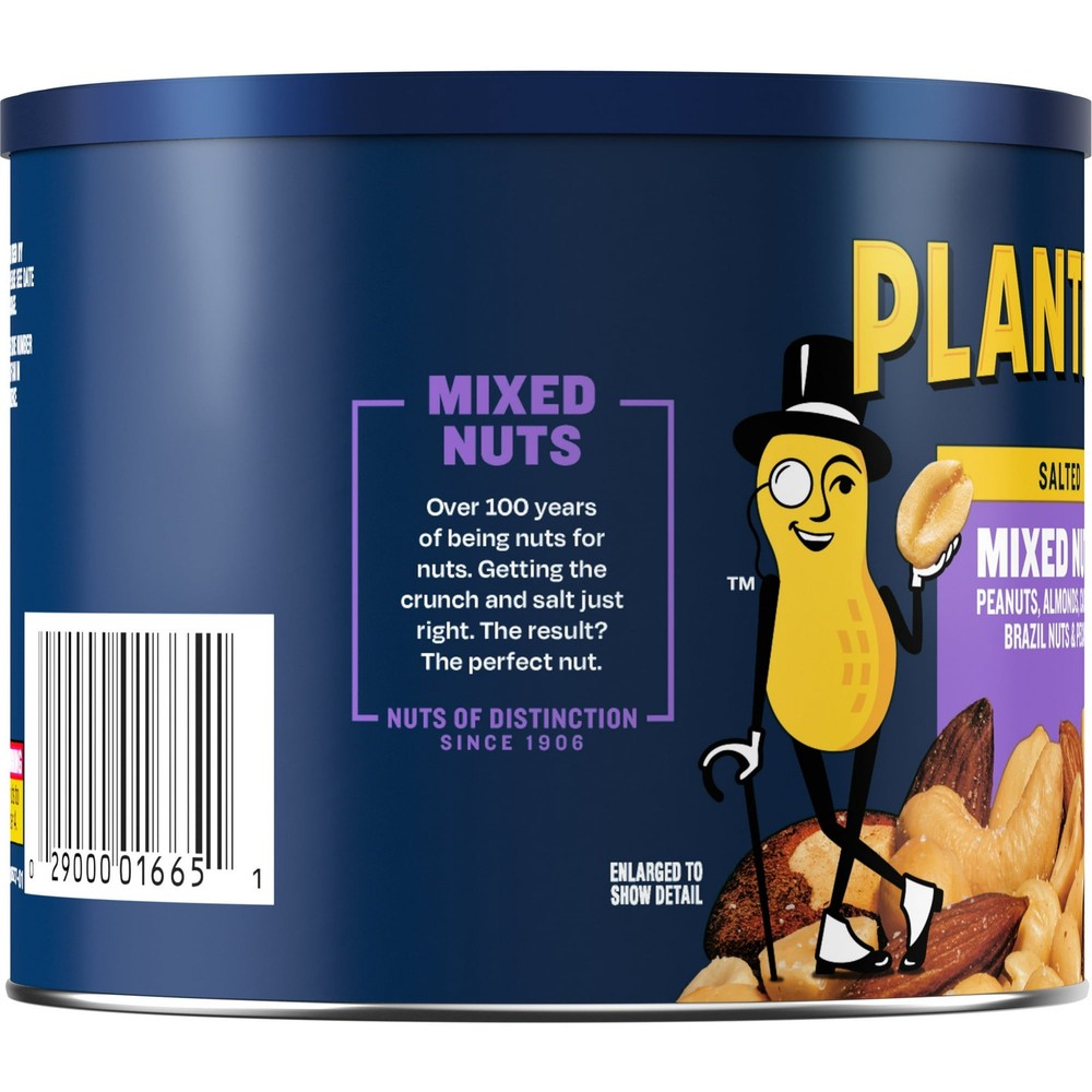 PLANTERS Salted Mixed Nuts, Party Snacks, Plant-Based Protein 10.3oz (6 Pack)