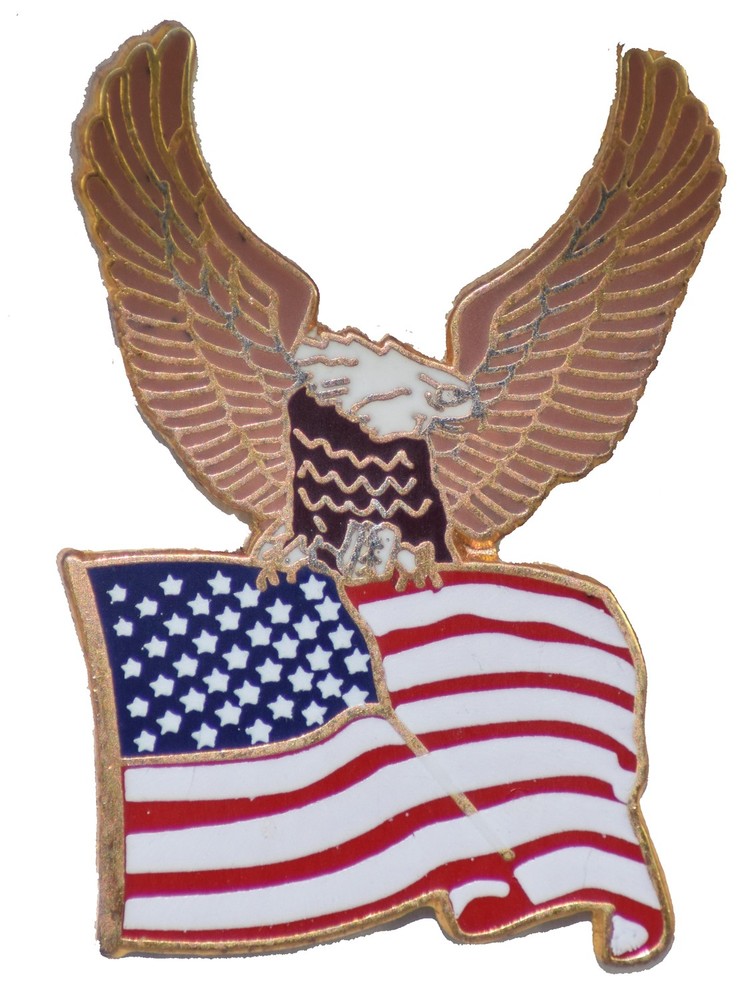 EAGLE WITH FLAG HAT PIN