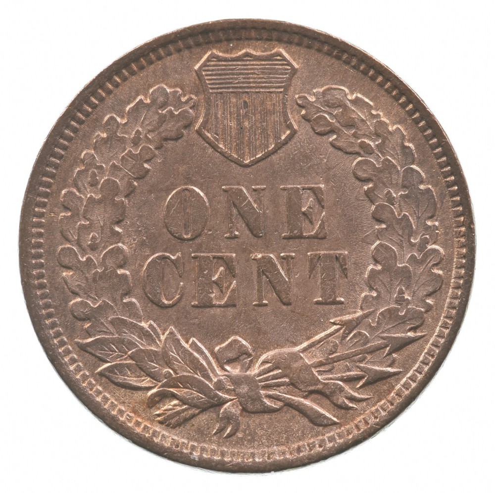 1899 Indian Head Cent *0854