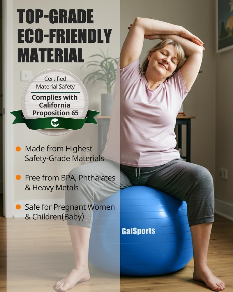 High-Quality Anti-Burst Stability Ball - Perfect for Core Workouts & Posture
