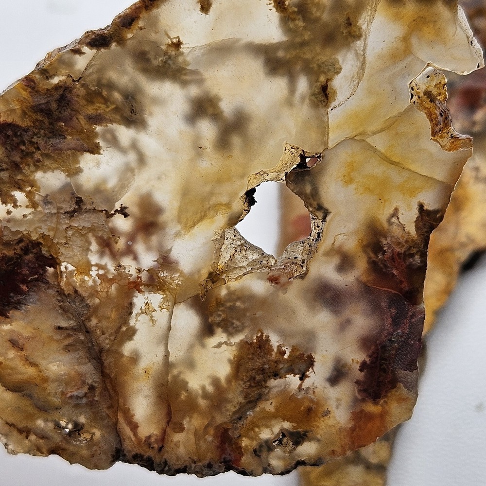 Regency Rose Lapidary Slabs Old Stock 44 Grams