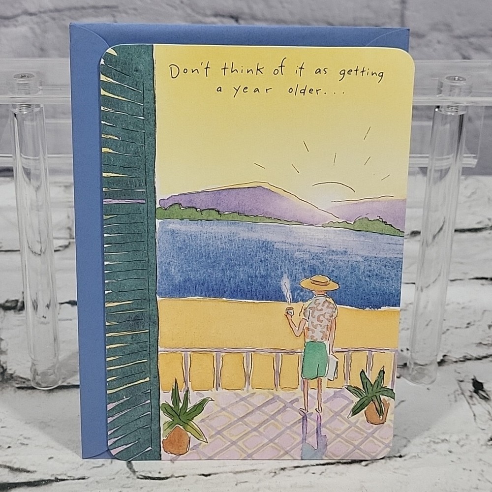 Hallmark Windows Birthday Greeting Card Humorous