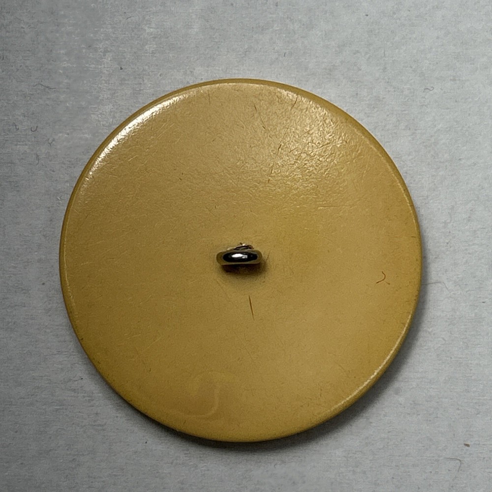 Antique Picture Button Mythological Creature Dragon Bakelite Celluloid?
