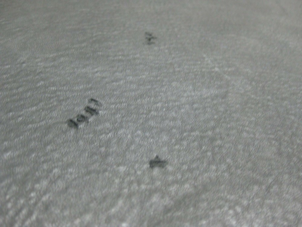 Top Grain Deer Leather #00003748 Row 98