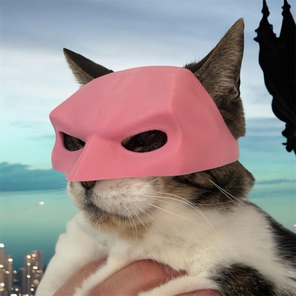 Bat Cat Helmet Mask Batman For Cat