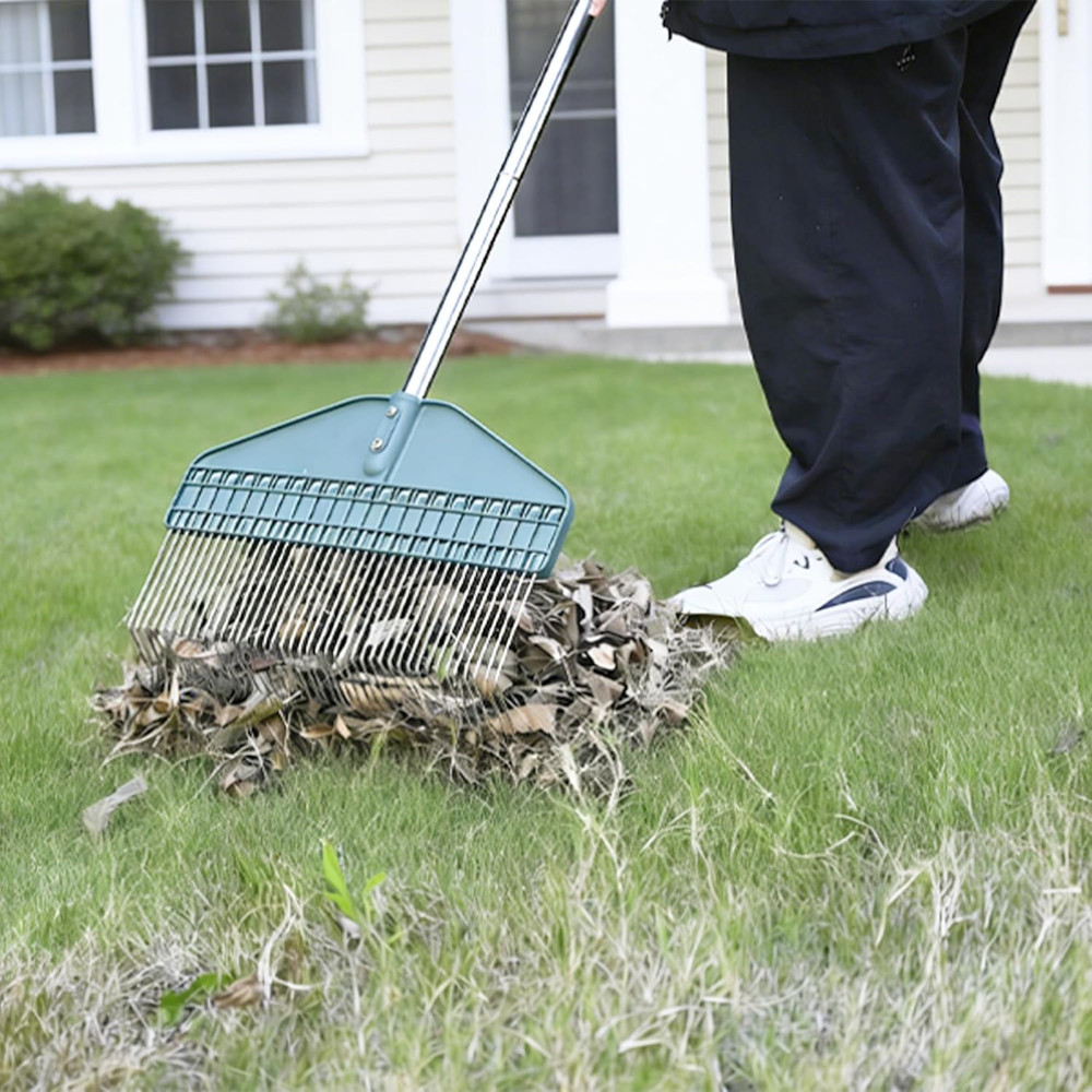 Thatch Rake, 66" Adjustable Handle, 17" Wide Dethatcher Rake for Garden, Patio &