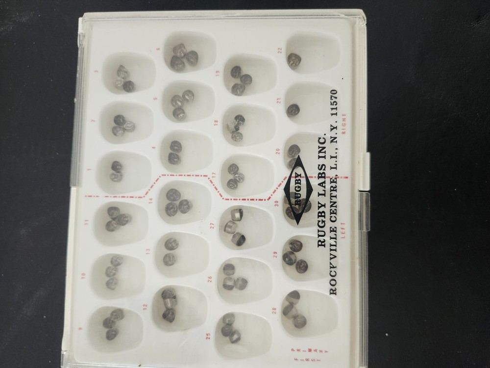 First Primary Molar Crowns by Rugby Labs