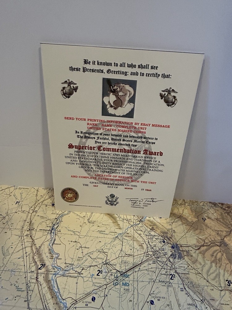 U.S.M.C. / MARINE OPERATIONAL TRAINING GROUP 81 - SUPERIOR COMMENDATION AWARD