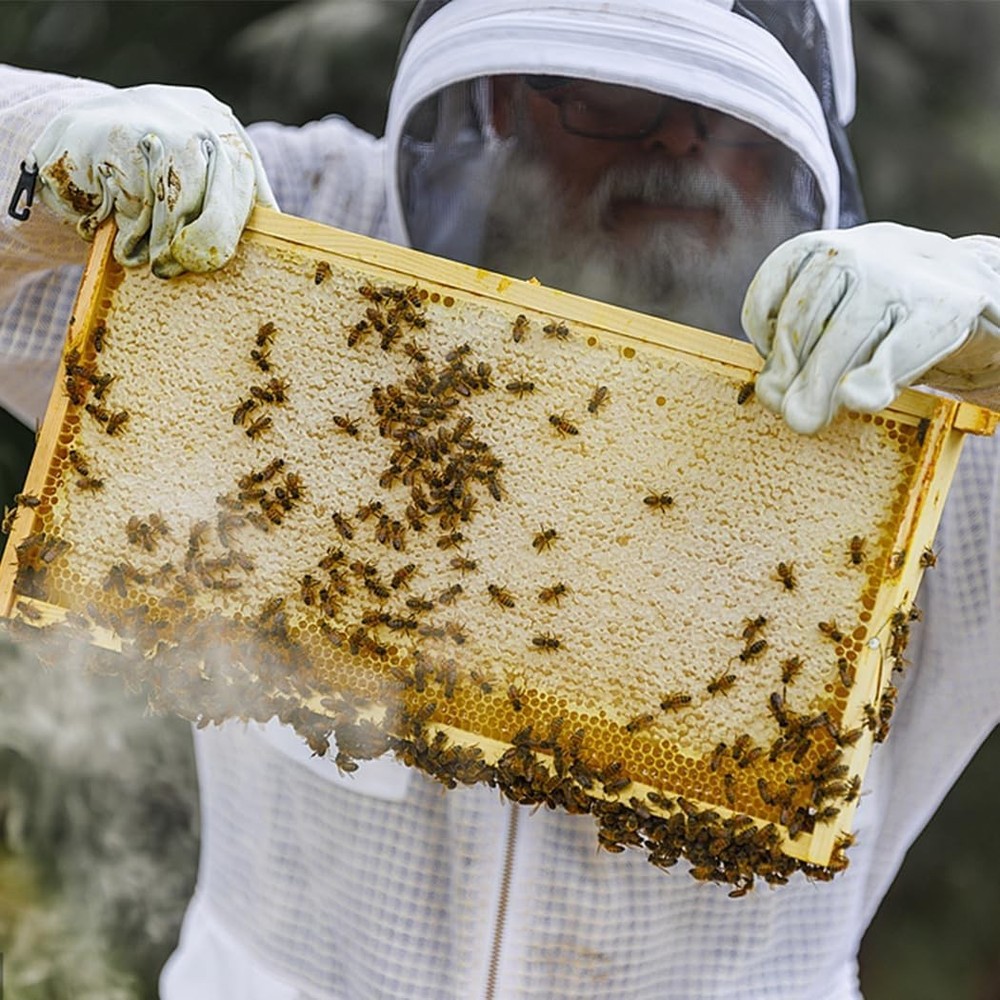 Durable 10-Pc Beehive Foundation Sheets with Beeswax Coating, Standard Deep Size