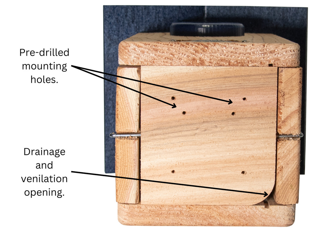 Cedar Ultimate Bluebird House (Blue)
