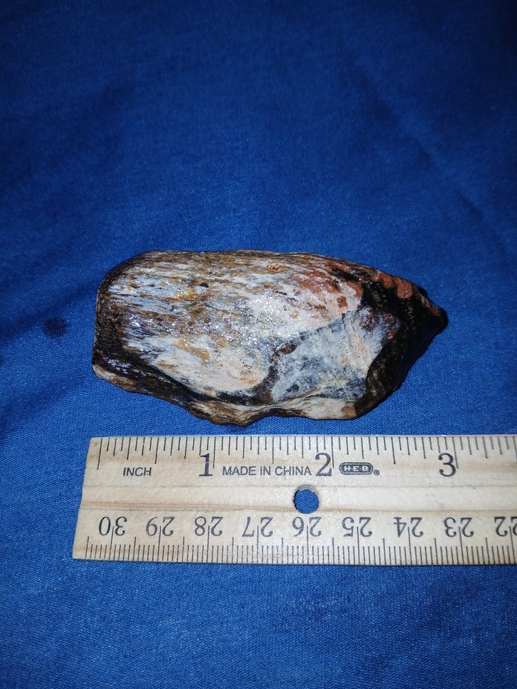 3 oz Agatized Petrified Wood