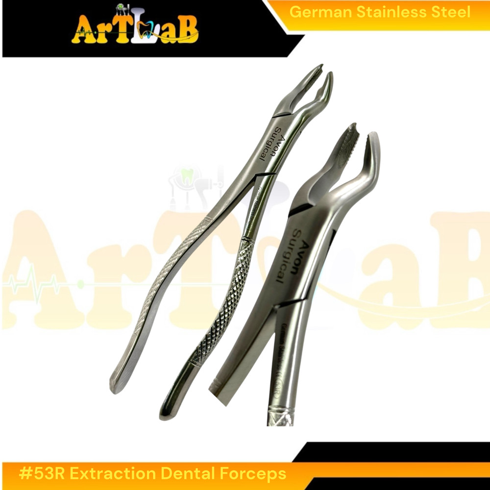 Right Upper First & Second Molar Extraction Forceps #53R, Serrated, 1pc