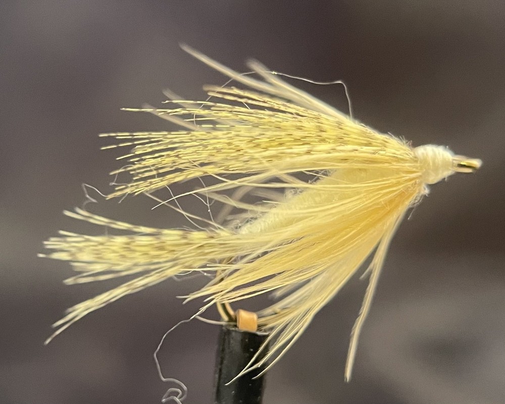 Light Cahill Wet Fly