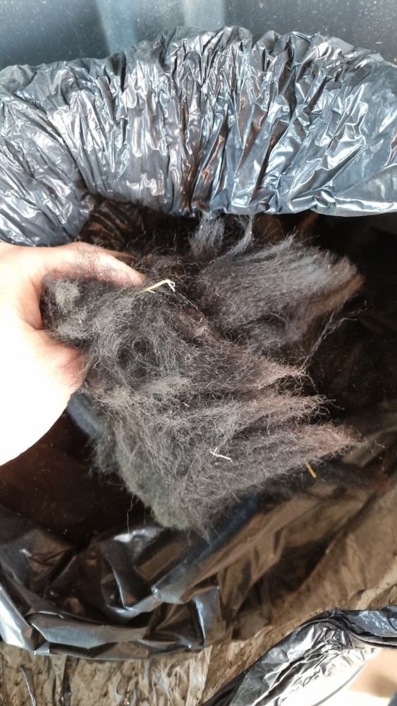 raw alpaca fiber