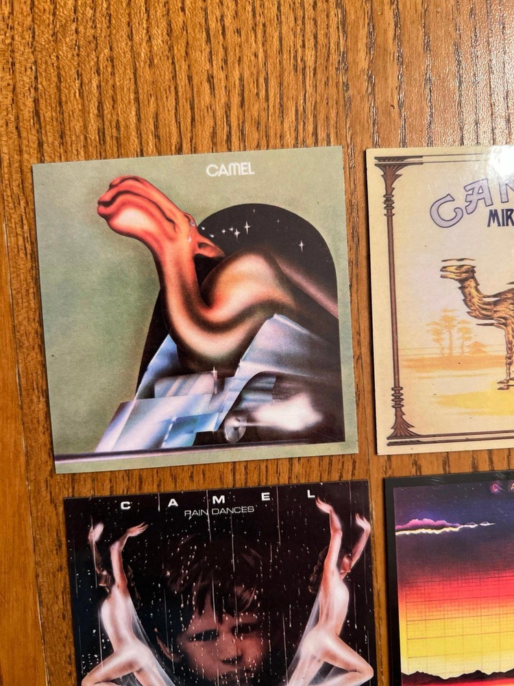 Camel fridge magnets