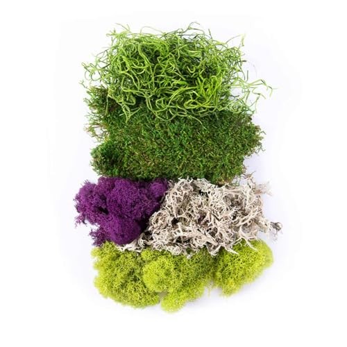 SuperMoss (23317) Moss Mix, Mixed, 120 Cubic" 120 Cubic", Mixed