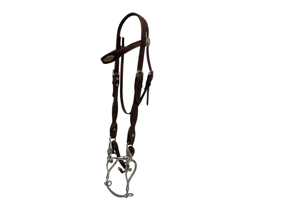 A. Tietjen Engraved Silver Shank Bit & Headstall