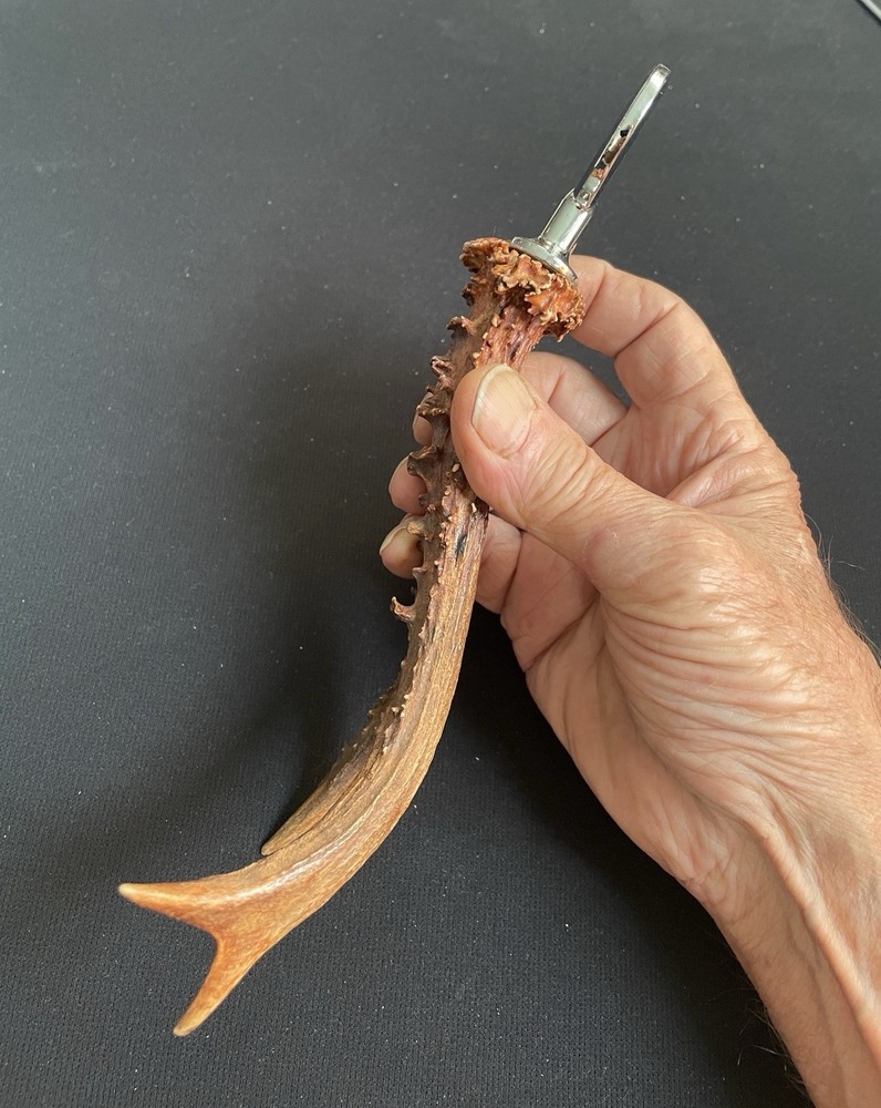 Roe Deer Antler Bottle Opener