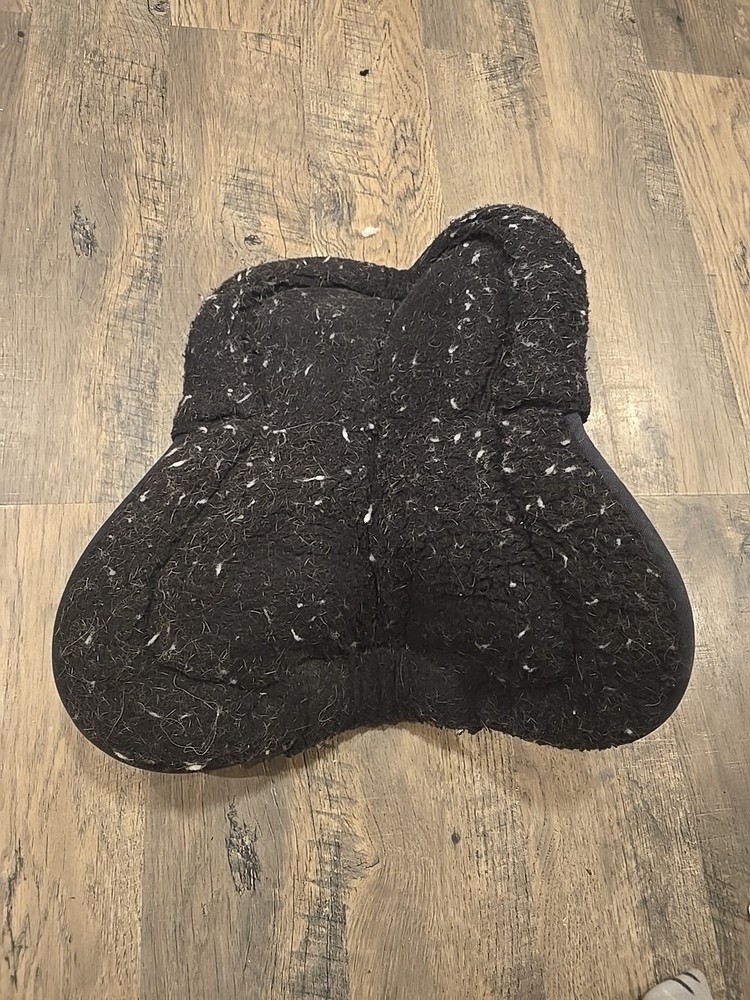 horse half pad