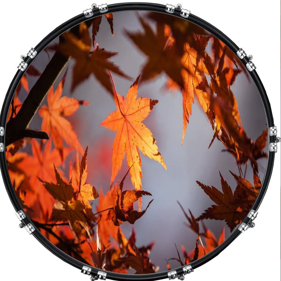 20" Custom Bass Kick Drum Front Head Skin Graphical Autumn Leaf 2