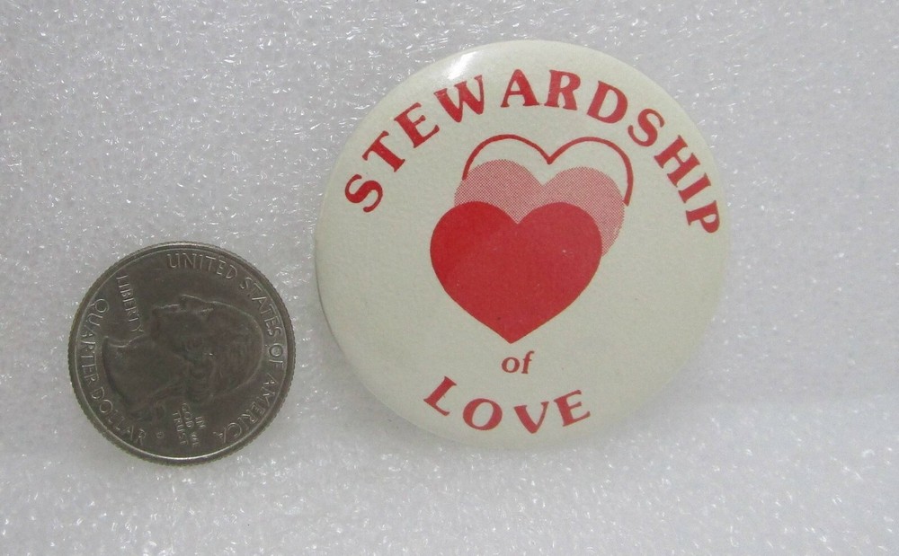 Stewardship Of Love Button Pin