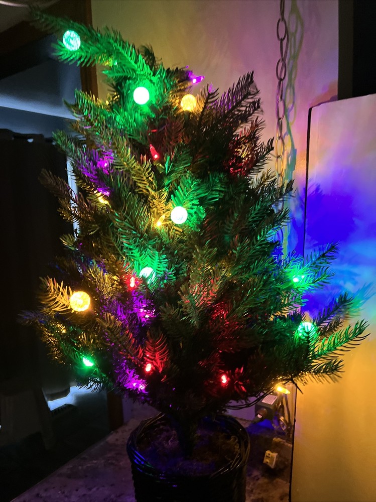 Bethlehem Lights 3' URN Mixed Bulb Christmas Tree MULTICOLOR LIGHTED