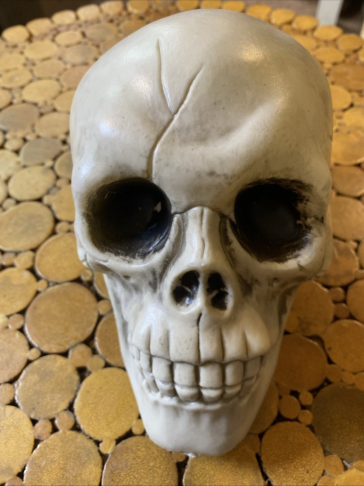 Halloween Skeleton Skull - Prop - Decor
