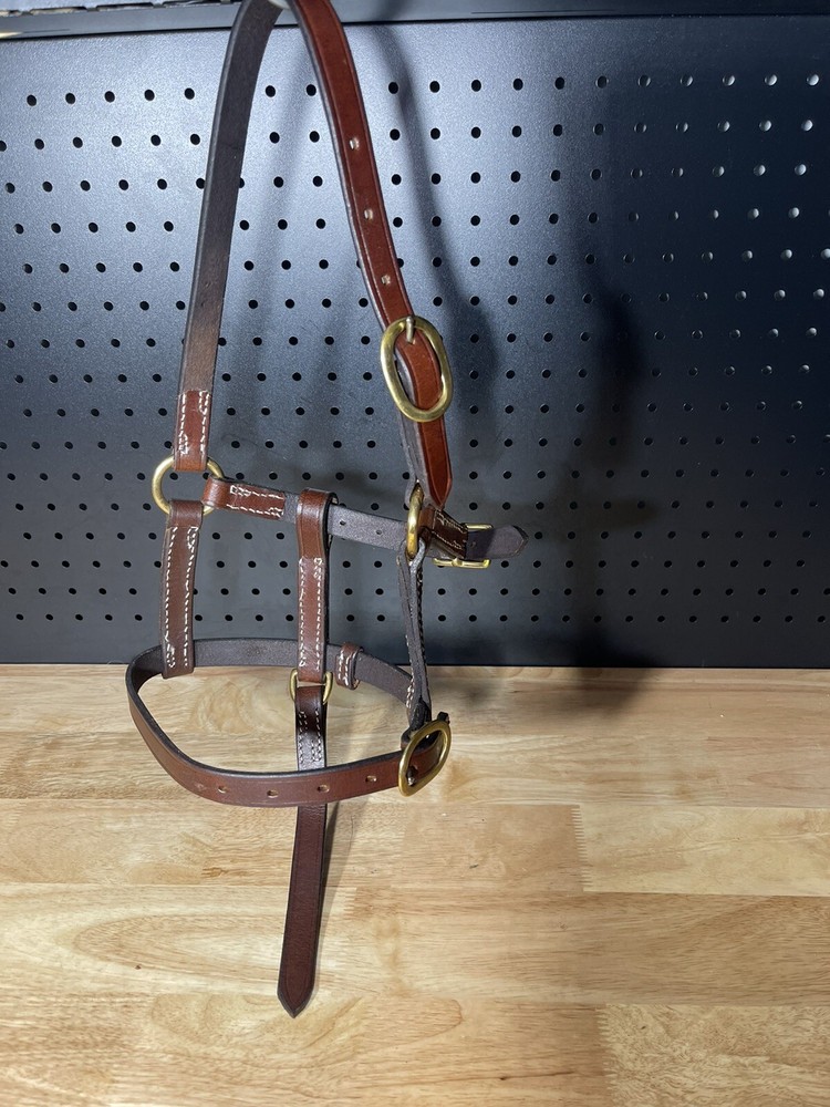 Leaders Foal Size Leather Halter!