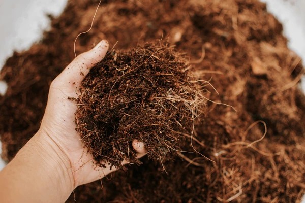 COCO COIR COCO PEAT 100% ORGANIC COMPOST HYDROPONIC GROWING MEDIA 100g