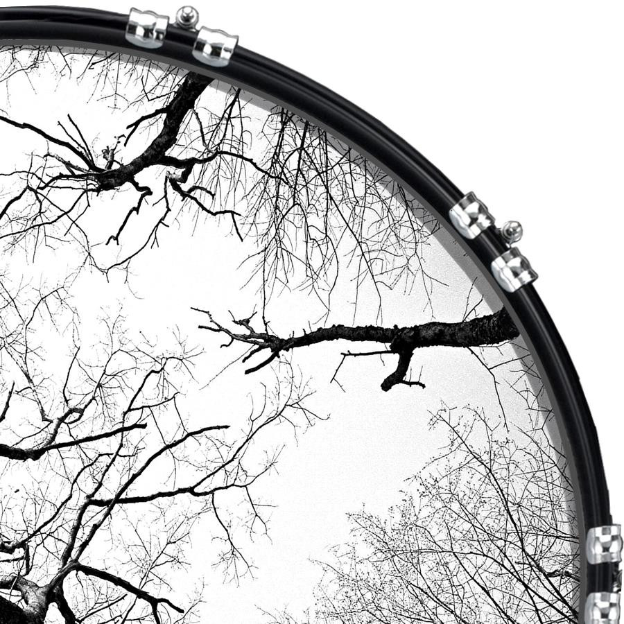 20" Custom Bass Kick Drum Front Head Graphic Graphical Tree 3