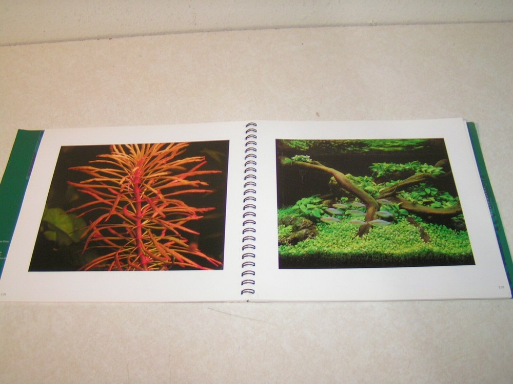 Groundbreaking Tropica Aquarium Plants by Holger Windelov Plant Reference Work