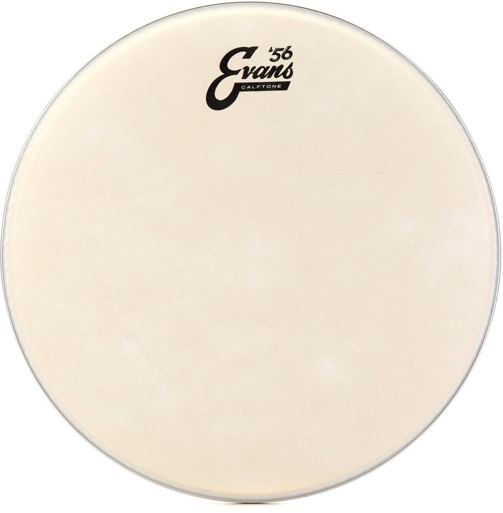 Evans Calftone Drumhead - 13"