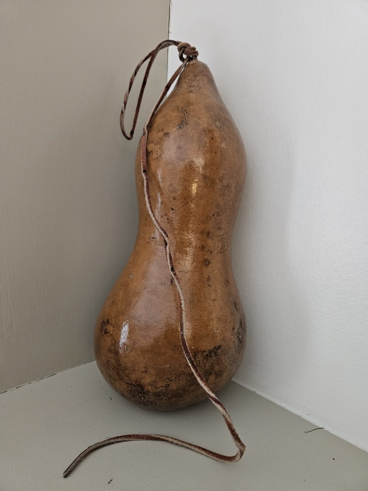 Hand-painted gourd birdhouse