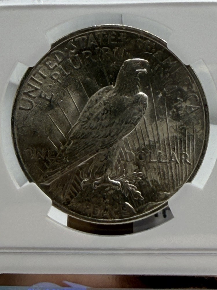 1922 Peace Dollar NGC MS62 CB9-142
