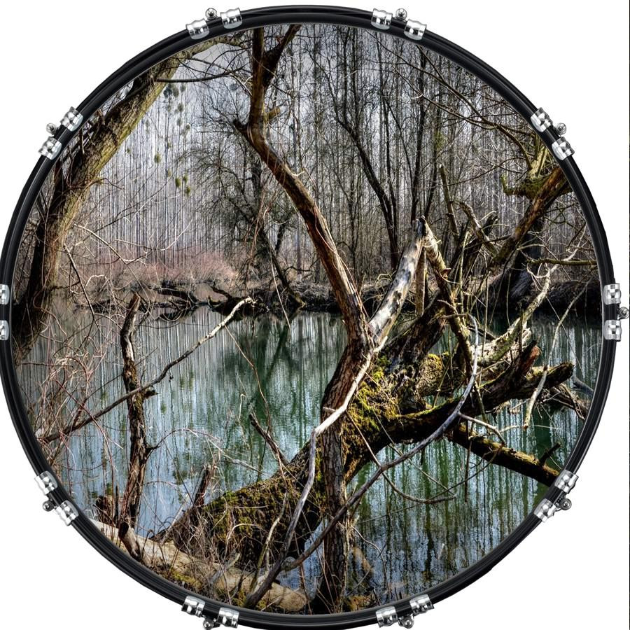 20" Custom Bass Kick Drum Front Head Graphic Graphical True Forest 1