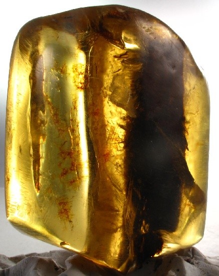 ++ Stem or Leaf inMexican Amber Specimen 55g