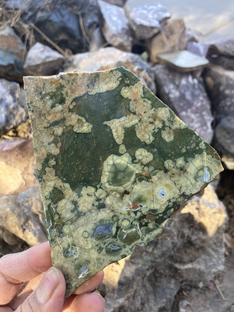 Rainforest Jasper Slab