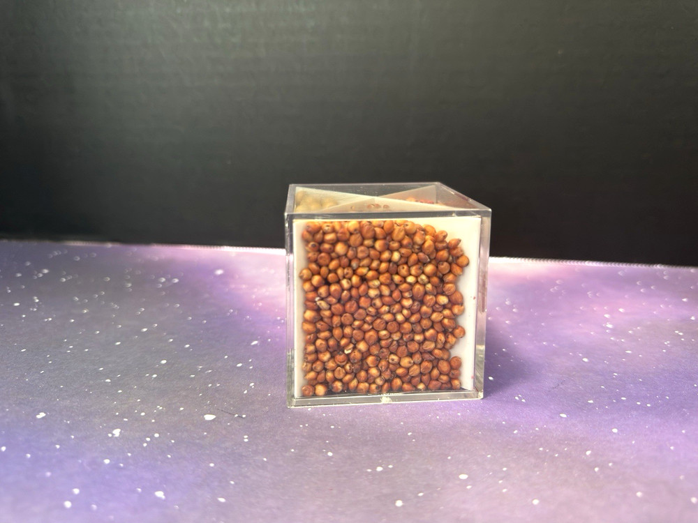 vintage MYCOGEN SEEDS COMPANY Solutions in the Seed Sample Desk Display cube